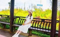 2019年免费观看最新肉动漫